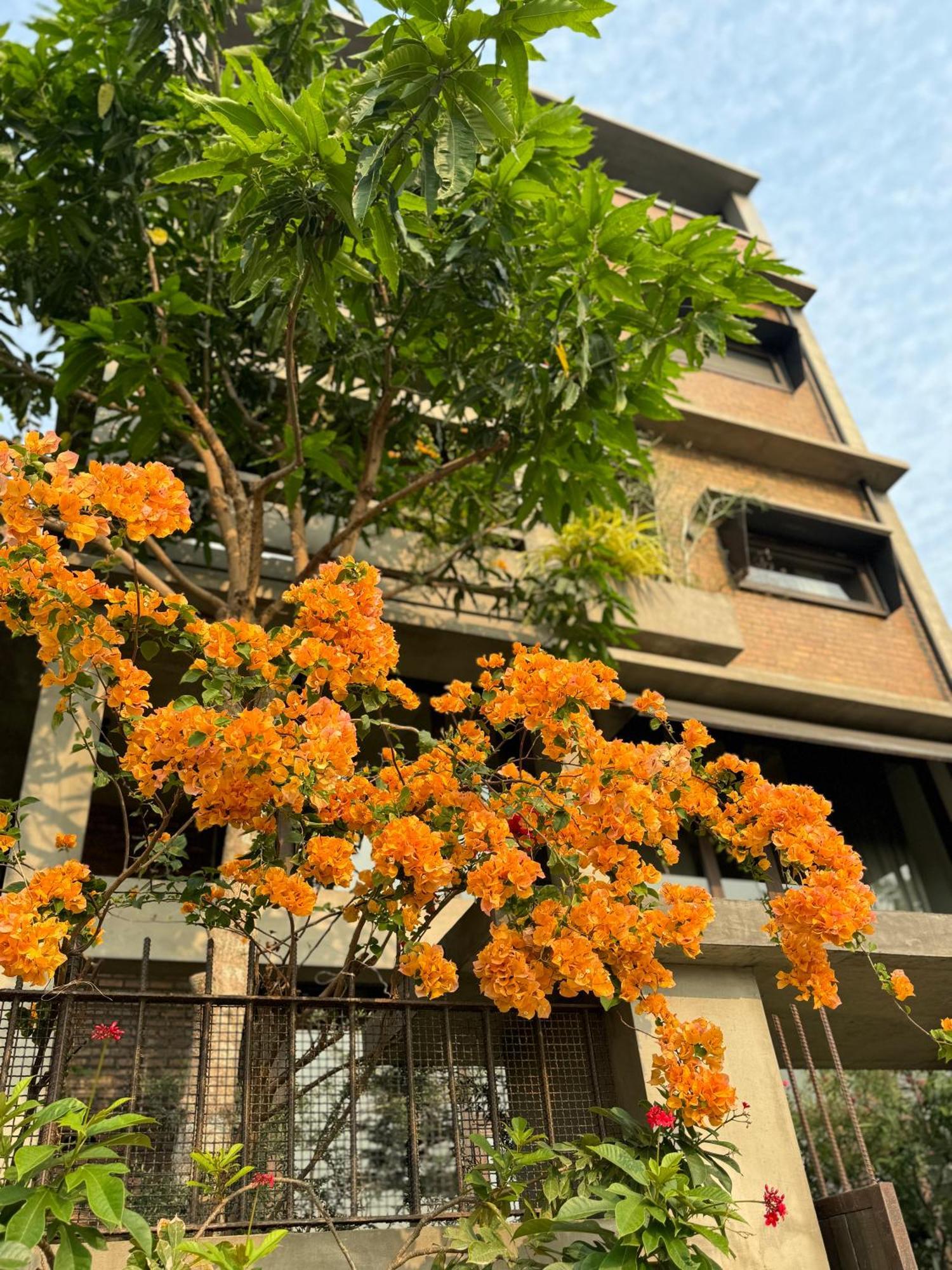 Kaia Gallery Hotel Hội An Buitenkant foto